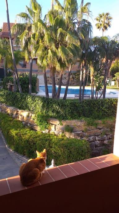 Ferienwohnung Planta Baja Cerca De La Playa Casares Costa Exterior foto